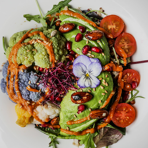 Healthy & Vegan